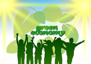 开云体育链接-青年选手成长路径日益明确，青年成长成才计划